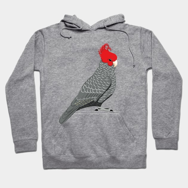 Gang gang cockatoo Hoodie by Zolinstudio